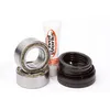 Pivot Works Front Wheel Bearing Kit