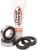 Pivot Works Front Wheel Bearing Kit