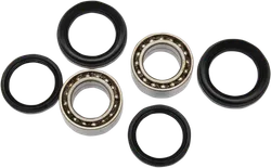 Pivot Works Front Wheel Bearing Kit