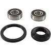 Pivot Works Front Wheel Bearing Kit