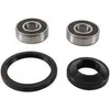 Pivot Works Front Wheel Bearing Kit