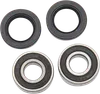Pivot Works Front Wheel Bearing Kit