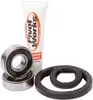 Pivot Works Front Wheel Bearing Kit