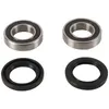 Pivot Works Front Wheel Bearing Kit