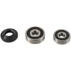 Pivot Works Front Wheel Bearing Kit