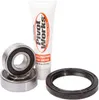 Pivot Works Front Wheel Bearing Kit