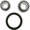 Pivot Works Front Wheel Bearing Kit