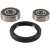 Pivot Works Front Wheel Bearing Kit