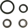 Pivot Works Front Wheel Bearing Kit