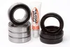 Pivot Works Front Wheel Bearing Kit