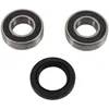 Pivot Works Front Wheel Bearing Kit
