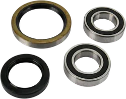 Pivot Works Front Wheel Bearing Kit