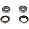 Pivot Works Front Wheel Bearing Kit