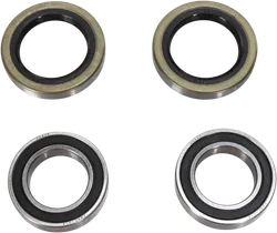 Pivot Works Front Wheel Bearing Kit