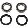 Pivot Works Front Wheel Bearing Kit