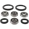 Pivot Works Front Wheel Bearing Kit