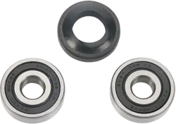 Pivot Works Front Wheel Bearing Kit