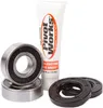 Pivot Works Front Wheel Bearing Kit