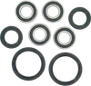 Pivot Works Front Wheel Bearing Kit