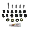 Pivot Works Rear Independant Suspension Kit