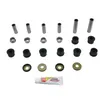 Pivot Works Rear Independant Suspension Kit