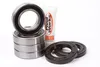 Pivot Works Rear Wheel Bearing Kit