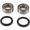Pivot Works Rear Wheel Bearing Kit