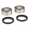 Pivot Works Rear Wheel Bearing Kit