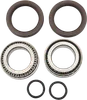 Pivot Works Rear Wheel Bearing Kit