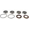 Pivot Works Rear Wheel Bearings Kit