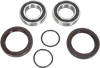 Pivot Works Rear Wheel Bearing Kit
