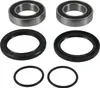 Pivot Works Rear Wheel Bearing Kit
