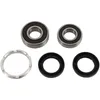 Pivot Works Rear Wheel Bearings Kit