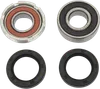 Pivot Works Rear Wheel Bearings Kit