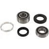 Pivot Works Rear Wheel Bearings Kit