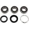 Pivot Works Rear Wheel Bearings Kit
