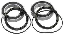 Pivot Works Rear Wheel Bearing Kit