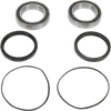 Pivot Works Rear Wheel Bearing Kit