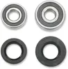 Pivot Works Rear Wheel Bearings Kit