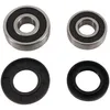 Pivot Works Rear Wheel Bearings Kit