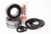 Pivot Works Rear Wheel Bearing Kit
