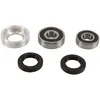 Pivot Works Rear Wheel Bearings Kit