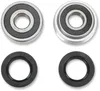 Pivot Works Rear Wheel Bearings Kit