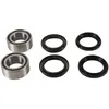 Pivot Works Rear Wheel Bearing Kit