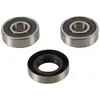 Pivot Works Rear Wheel Bearings Kit