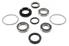 Pivot Works Rear Wheel Bearing Kit