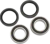 Pivot Works Rear Wheel Bearing Kit
