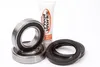 Pivot Works Rear Wheel Bearing Kit