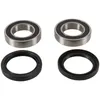Pivot Works Rear Wheel Bearing Kit