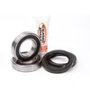 Pivot Works Rear Wheel Bearing Kit